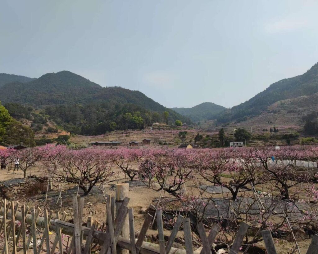 Muyang Peach Blossom Island in Ningde, Fujian